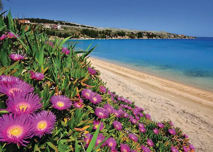 Awesome In Pag With Wifi Pag Town